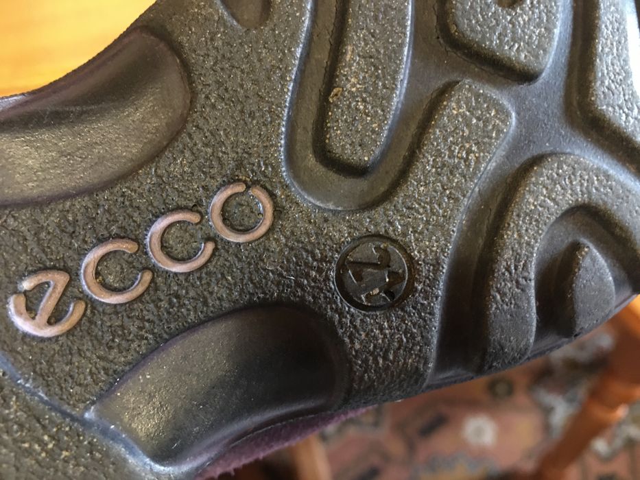 Термоботинки, сапожки ECCO 21 р.