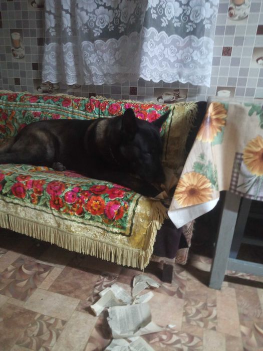 В'язка! Шукаємо подругу)