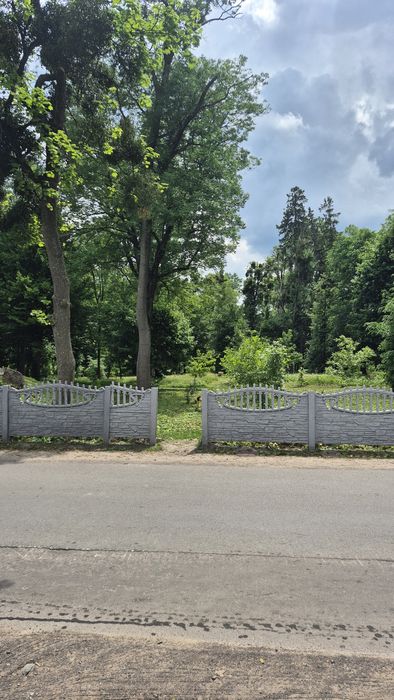 Продам хорошу ділянку в центрі с.Олександрія - View 4