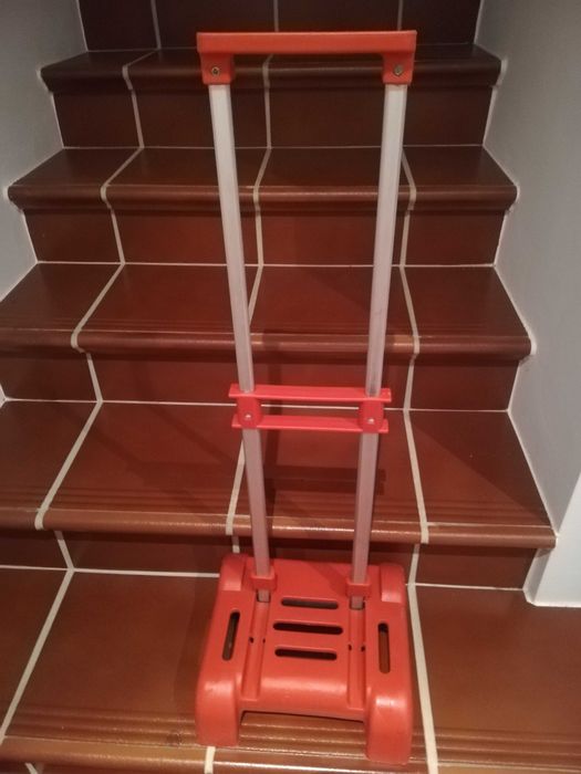 Trolley de criança para levar a mala da escola por 10€.