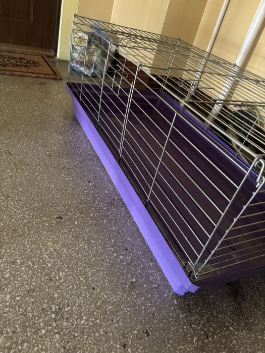 Sprzedam klatke dla swinki morskiej 102/52 cm