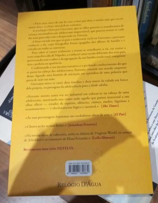 Elena Ferrante Vida Mentirosa Adultos (Novo-PORTES INCLUIDOS)