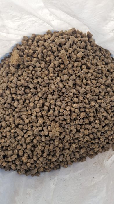 Брикети, дрова, вугілля.