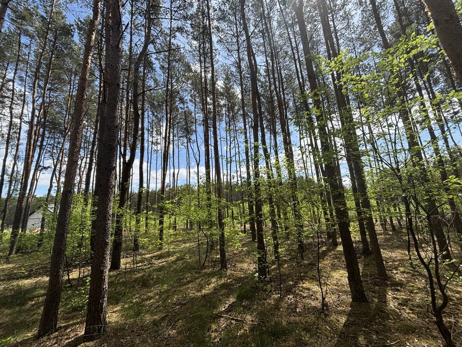 Działki budowlane z pasem lasu – pohled 2