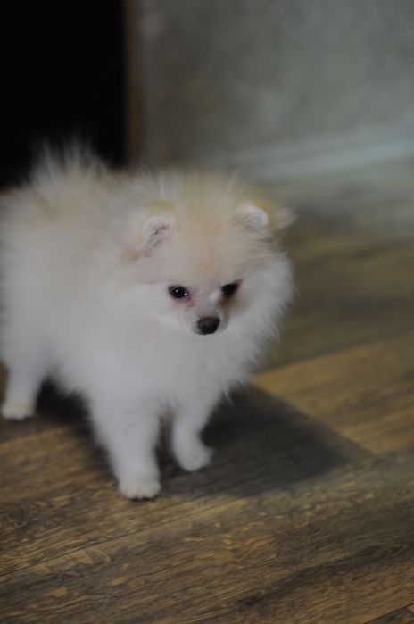 Плюшевая мини девочка