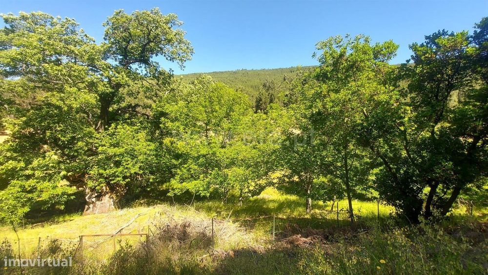 Terreno Rústico / Fundão, Bogas de Cima — Bogas de Cima, Castelo Branco