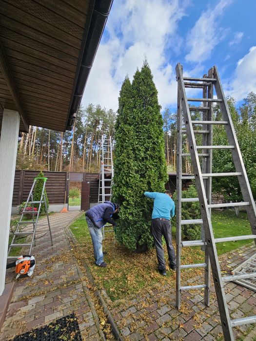 Ландшафтний дизайн/Догляд за садом/Садівник/Автополив