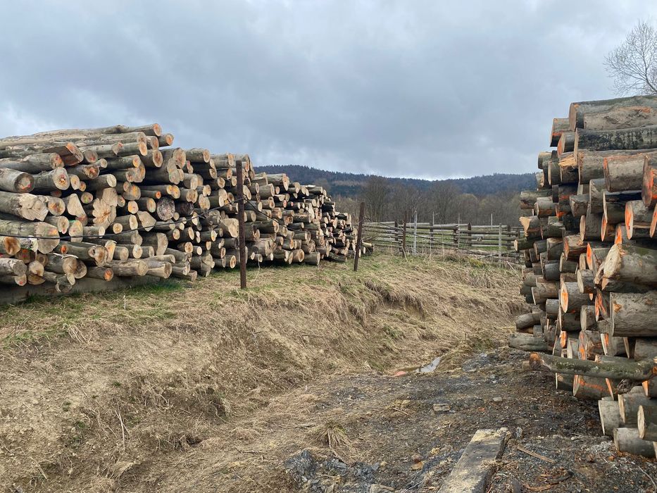 Drewno kominkowe/opałowe BUK lub GRAB