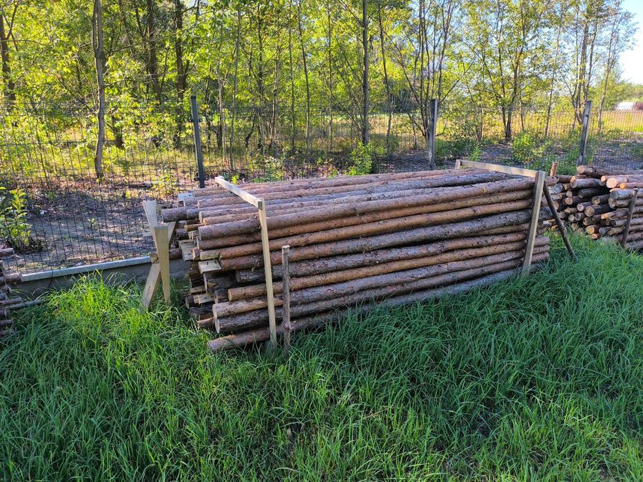 stemple budowlane drewniane 3m