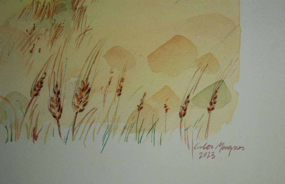 Monte Alentejano. Aguarela original de Carlos Marques