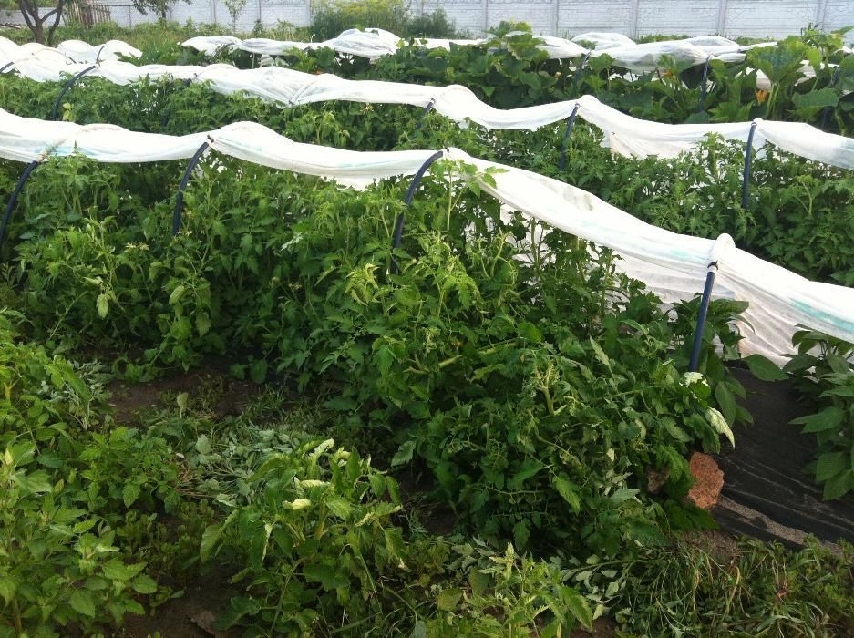 Домик для семьи 3, 4 чел.)