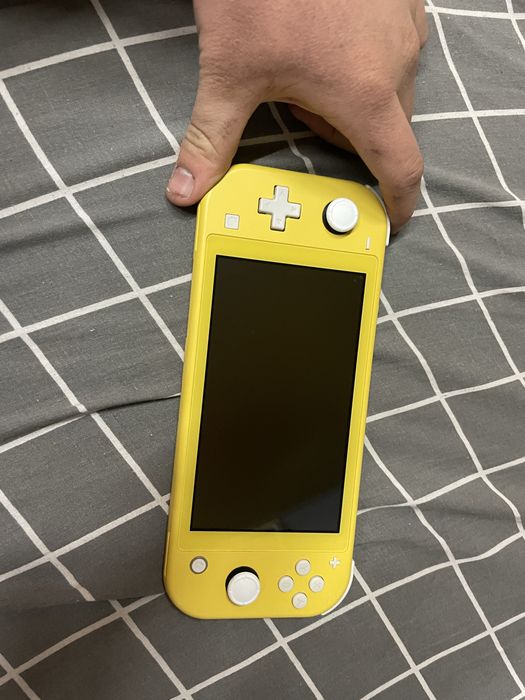 Nintendo switch lite