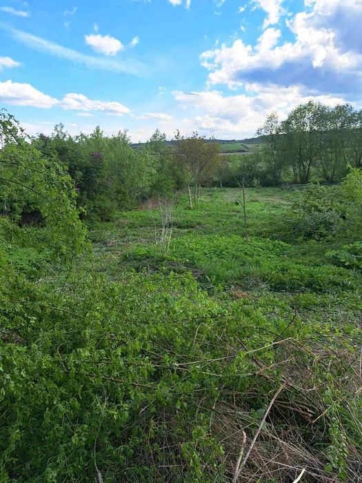 Продаж 22сотих під ,забудову ,будинок,с.Дмитровичі