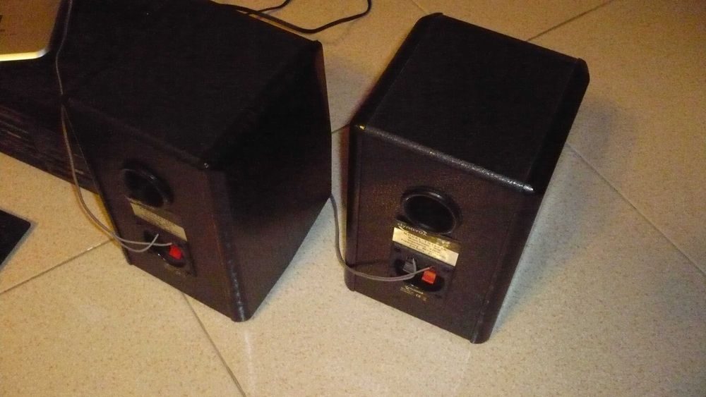 Colunas Dynavox TG 100B