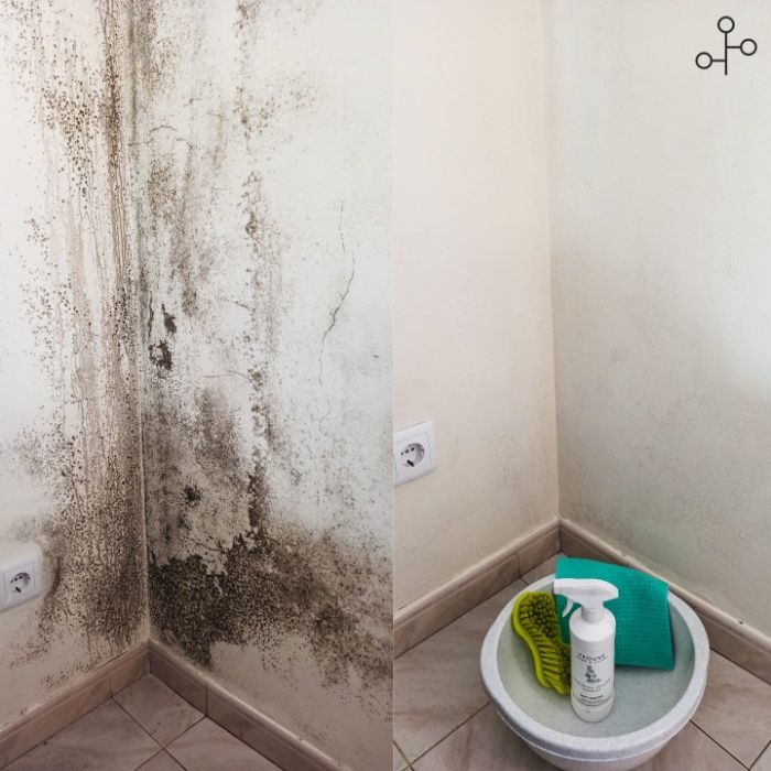 Prouvé - entrega imediata - Dirt Buster