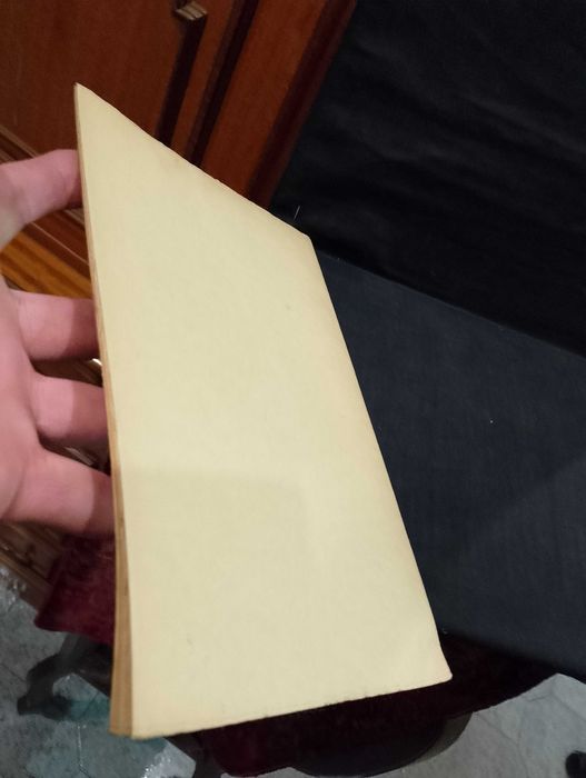 O Espírito da Caridade - Pe. Guimarães Dias