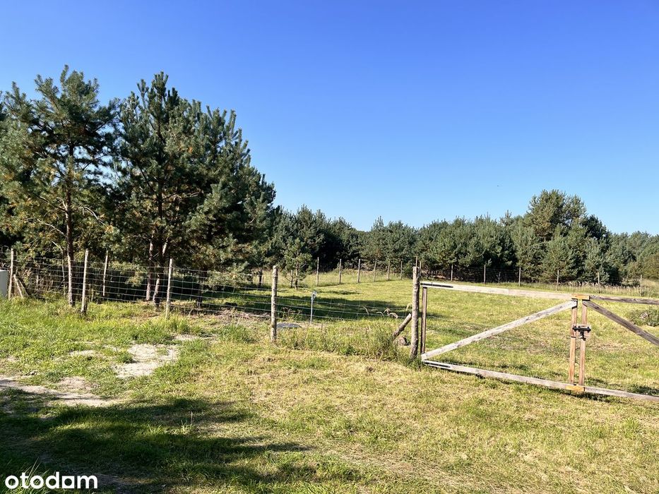 Działka budowlana 1520 m² przy Puszczy Noteckiej – Jaracz, ul. Sokola - Widok 4