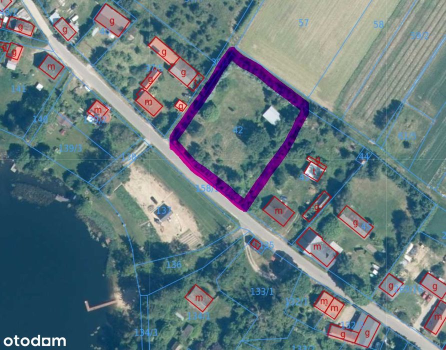 OKAZJA! Działka 3300 m² z mediami, gotowa do zabudowy dużo prywatności - Widok 2