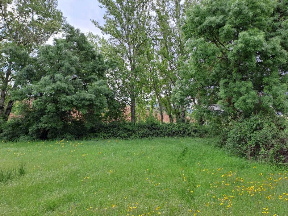 Terreno para venda em Baçal com 1,5 hectares - Bragança