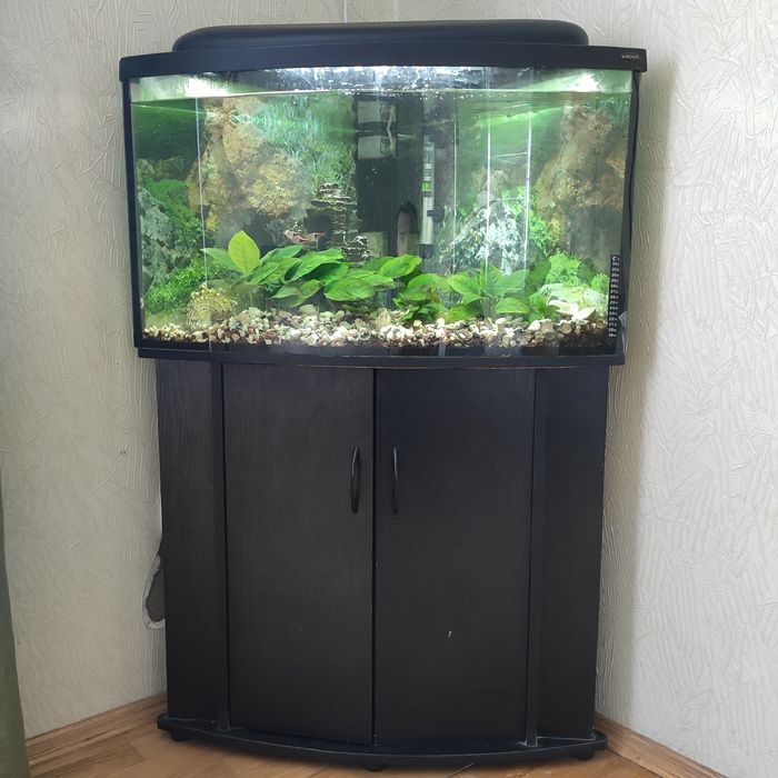Кутовий акваріум 75л.