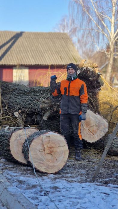 Зрізання дерев, обрізка валка дерев, спилювання, чистка