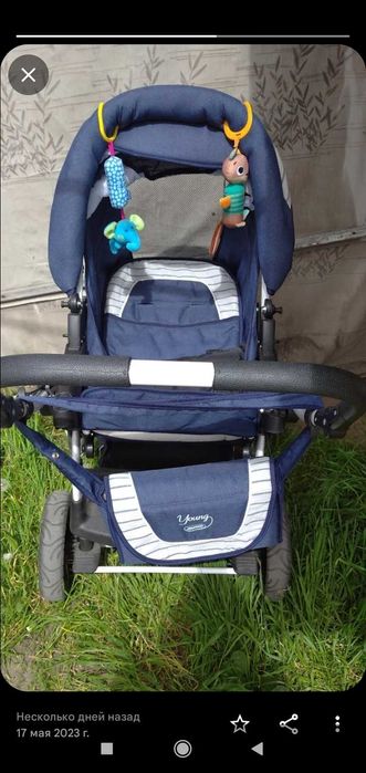 Коляска Адамекс Янг