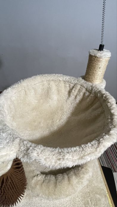 bebedouro e cama para gato