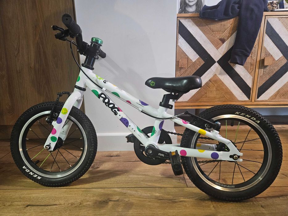 Rower Frog 14" Wrocław