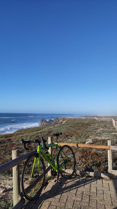 Cannondale Caad Optimo