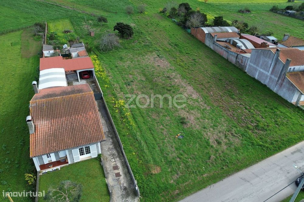 Terreno para moradia isolada ou 2 moradias geminadas_1900m2_Vagos