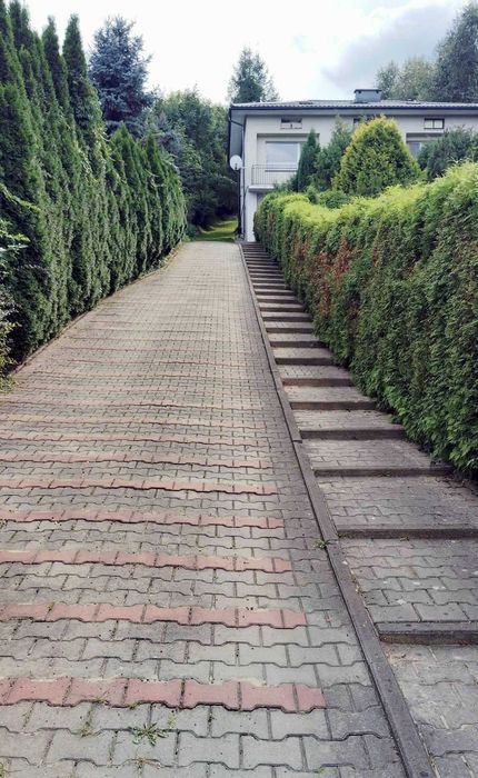 Zdjęcie 4