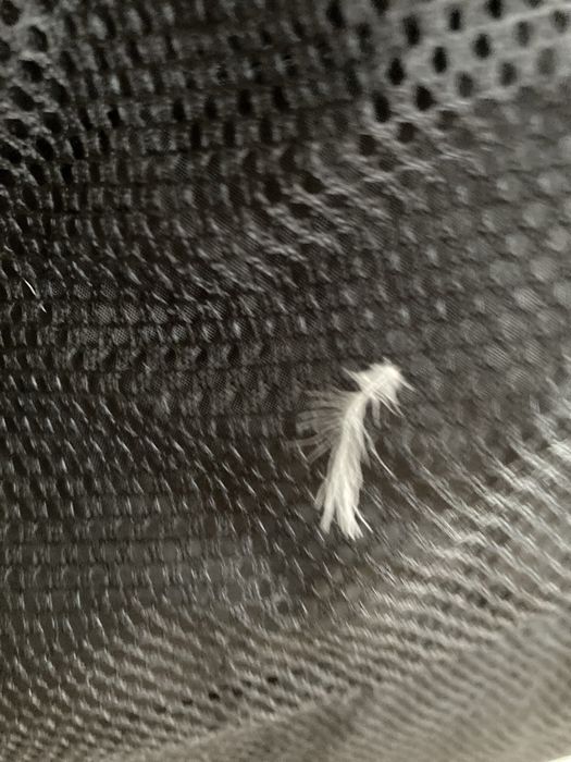 Bardzo ciepla zimowa kurtka PEAK PERFORMANCE parka GORE-TEX r.XS (S-M)