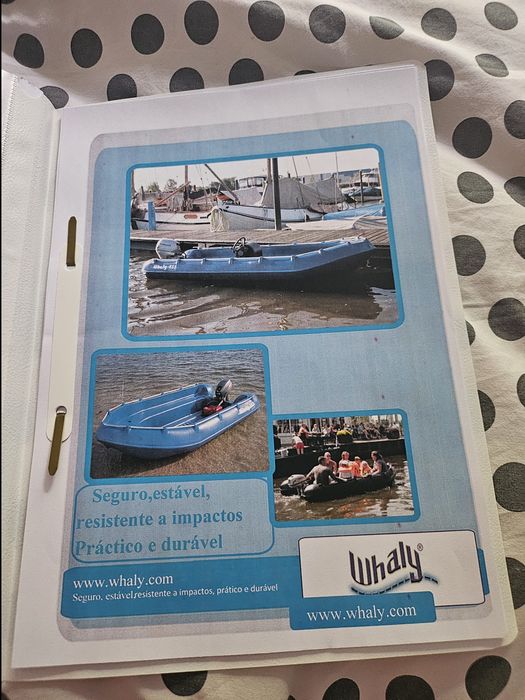 Barco Eurocrown 19 BR