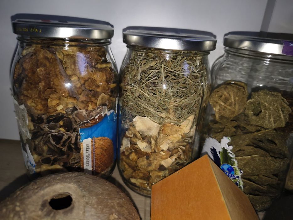 Akcesoria dla grzyoni chomika/myszy/królika/świnki morskiej