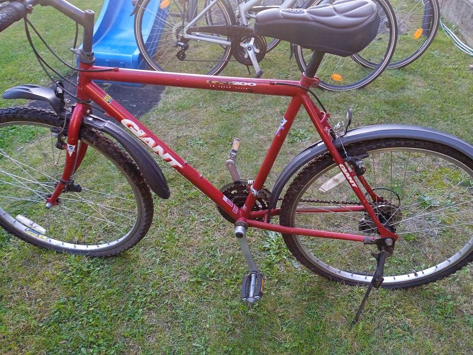 Rower Giant GSR 200