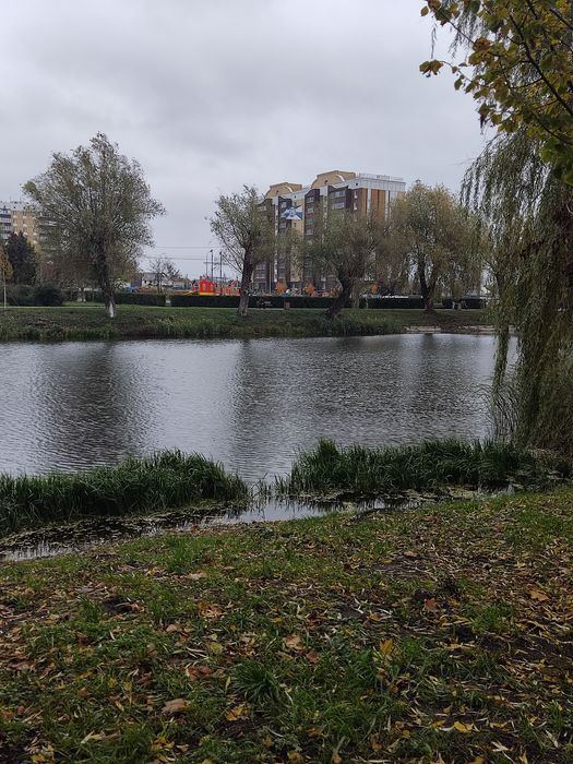 Продаж квартир в центрі Бородянки