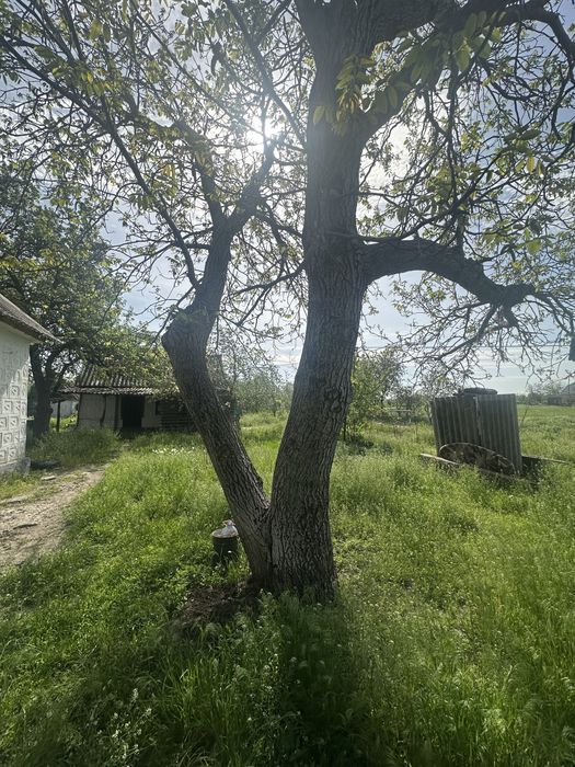 Дом! Продам дом Елизаветовка.