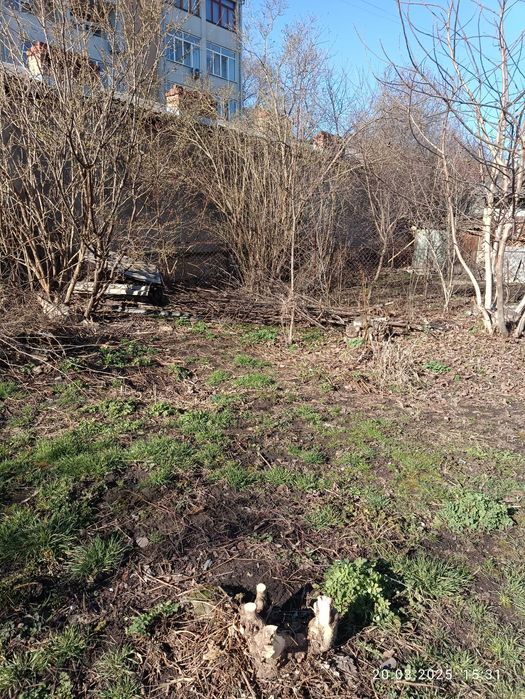 віддам безкоштовно відходи деревини