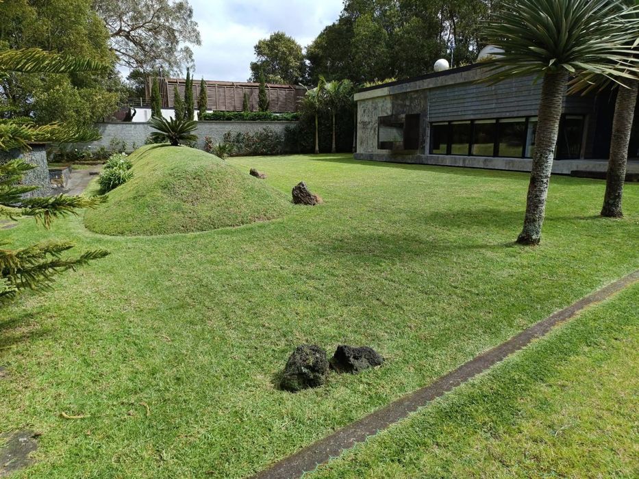 Corte de Relva e Manutenção de Jardins – Serviço Local