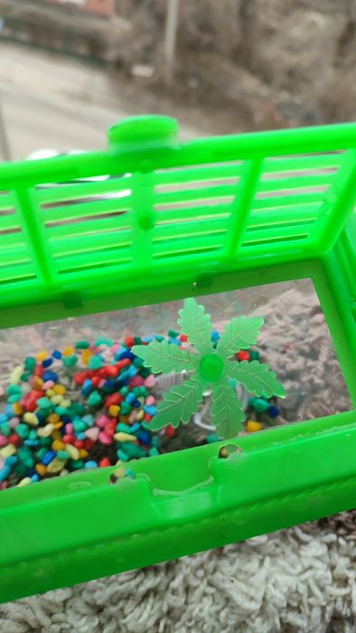 Аквариум миниатюрный