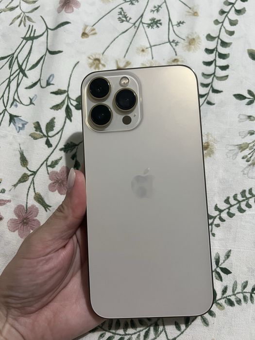 Iphone 13 pro max