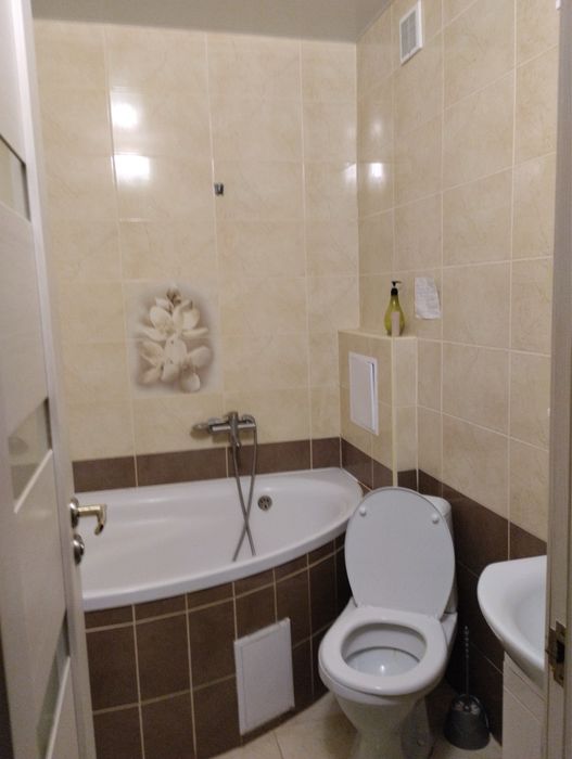 Здам в центрі подобово і погодинно однокімнатну квартиру