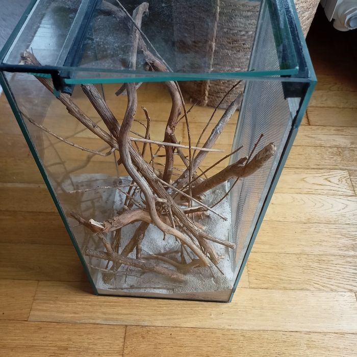 Terrarium  z siatką