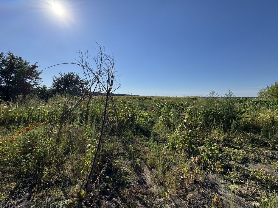 Продам будинок + земля/ присадиба/Гребінки