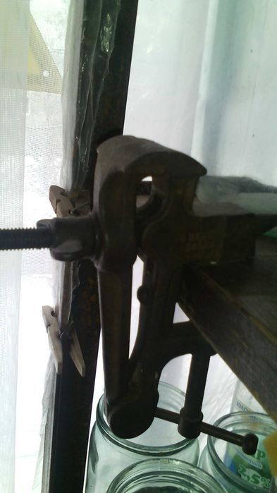 Тисы . новые советские.