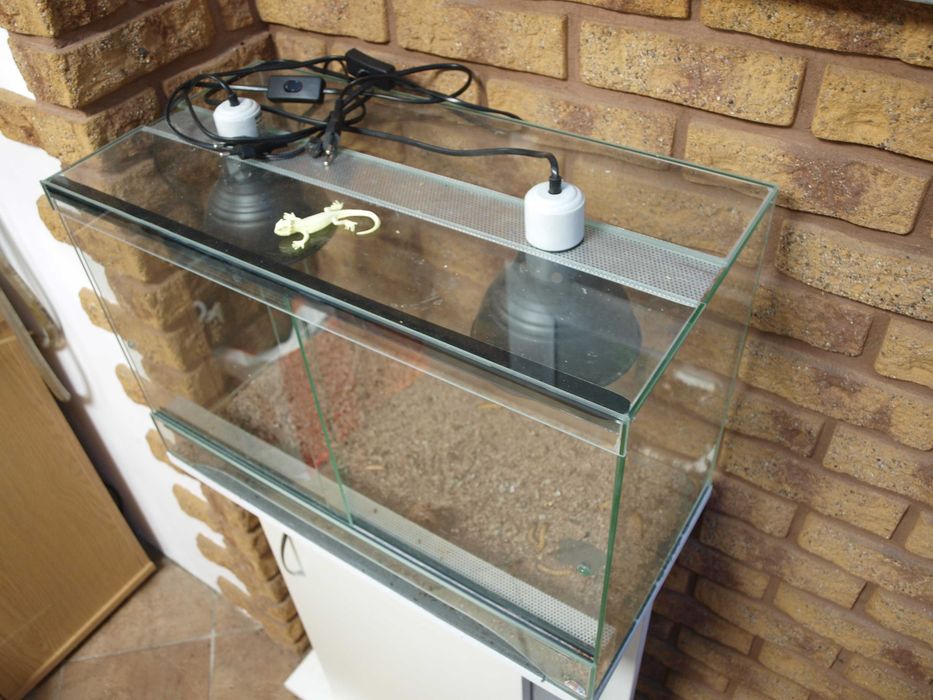 Terrarium szkło 60x30x40 z oświetleniem.