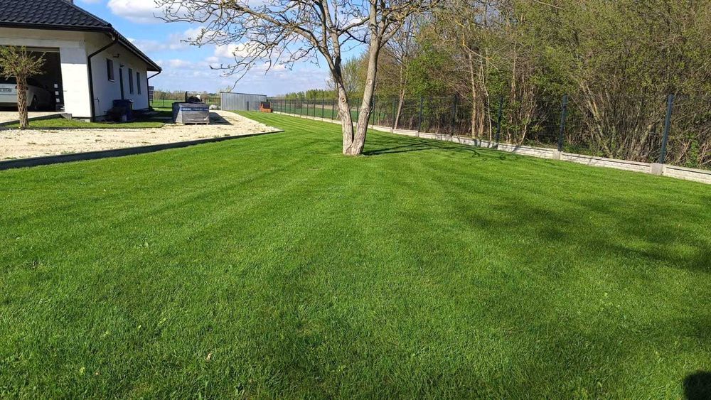 Ziemia na podniesienie terenu pod trawniki.