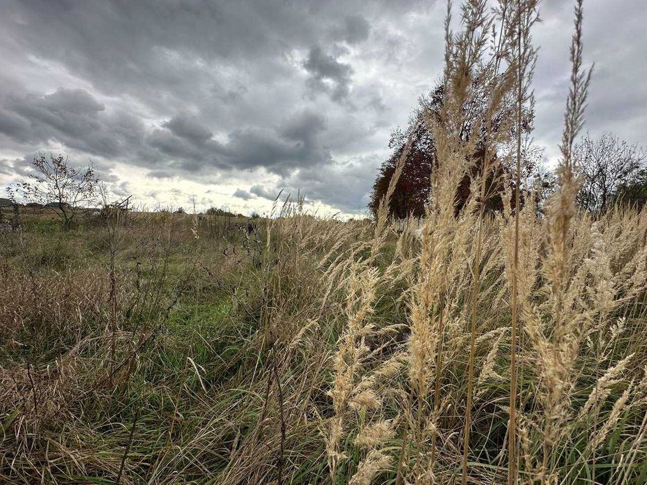 Продаж 25 соток з електрикою вул. Шевченка