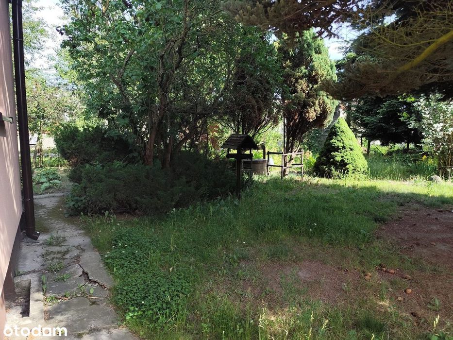 Dom – Mińsk Mazowiecki - Widok 3