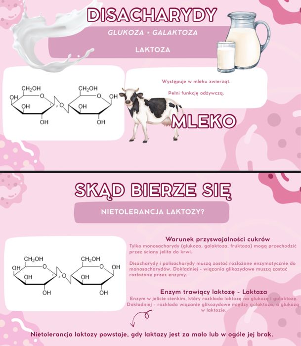 Korepetycje biologia rozszerzona online/Lublin